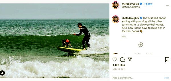 Image of Caption: Adam and his Pet Dog Tex Surfing